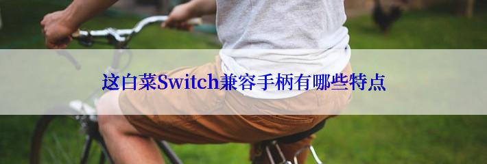 这白菜Switch兼容手柄有哪些特点