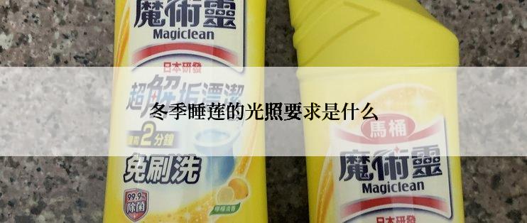 冬季睡莲的光照要求是什么