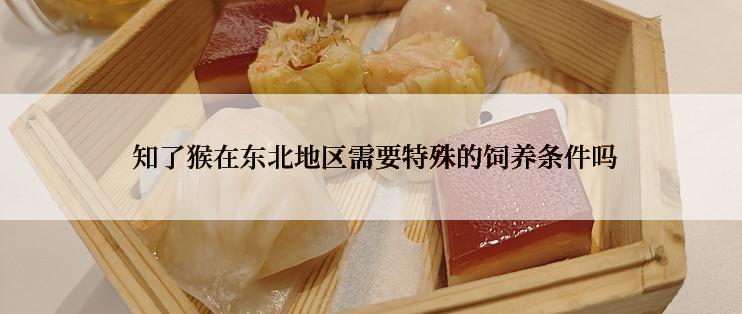  知了猴在东北地区需要特殊的饲养条件吗
