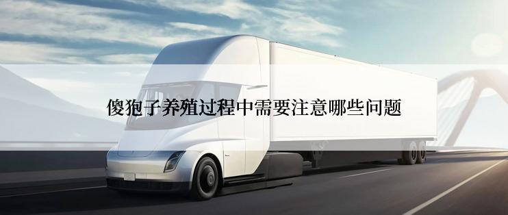 傻狍子养殖过程中需要注意哪些问题