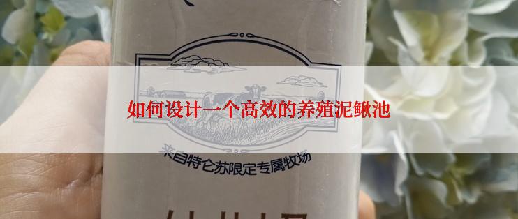 如何设计一个高效的养殖泥鳅池