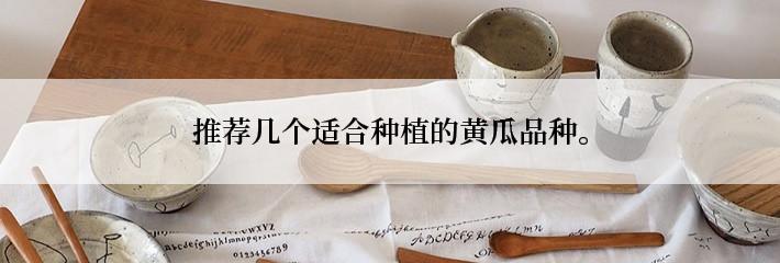 推荐几个适合种植的黄瓜品种。