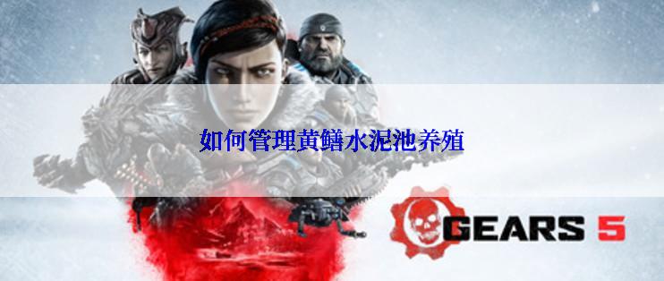 如何管理黄鳝水泥池养殖