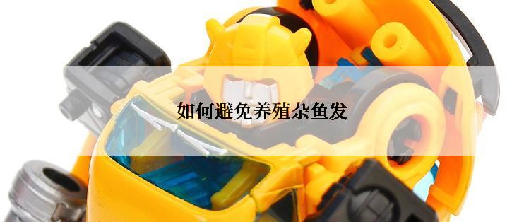如何避免养殖杂鱼发