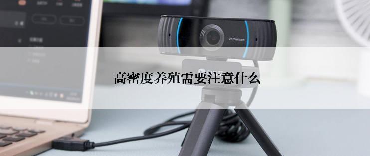  高密度养殖需要注意什么