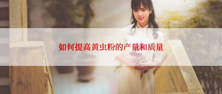 如何提高黄虫粉的产量和质量