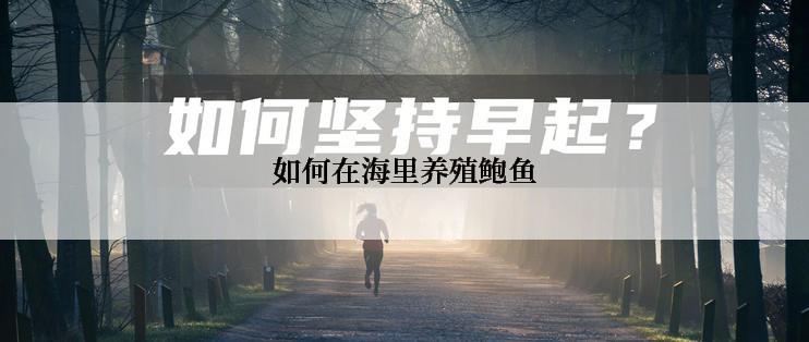 如何在海里养殖鲍鱼