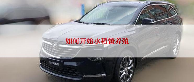 如何开始水稻鳖养殖