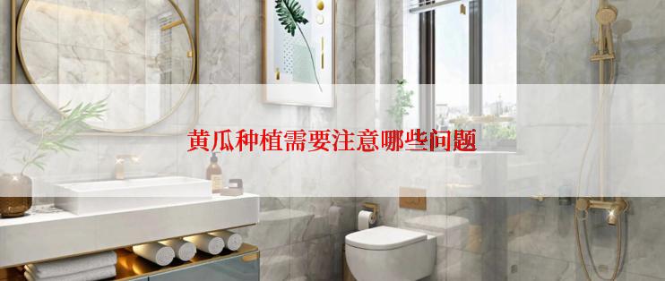 黄瓜种植需要注意哪些问题