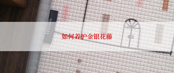 如何养护金银花藤