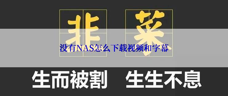 没有NAS怎么下载视频和字幕
