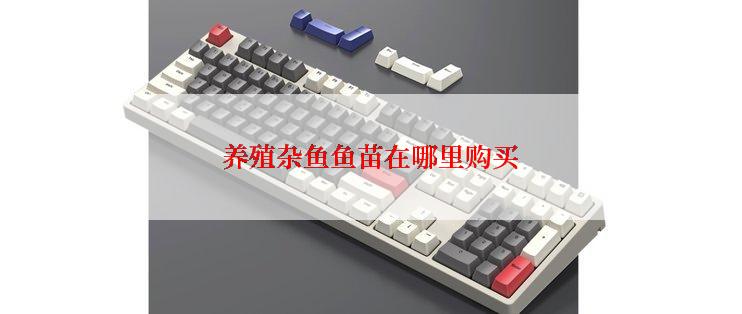 养殖杂鱼鱼苗在哪里购买