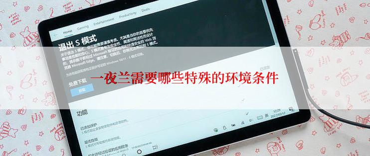 一夜兰需要哪些特殊的环境条件