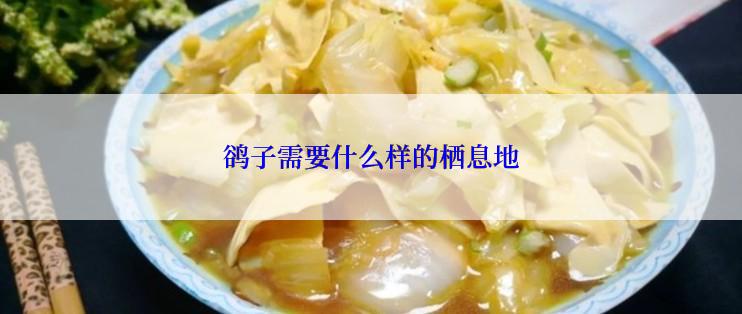 鹆子需要什么样的栖息地