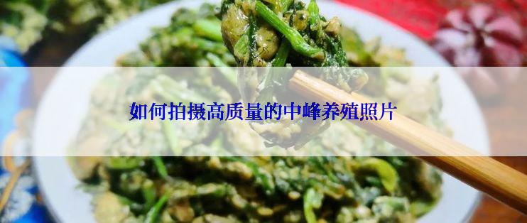 如何拍摄高质量的中峰养殖照片