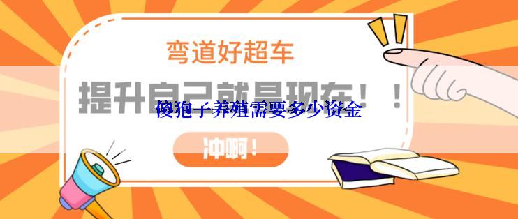傻狍子养殖需要多少资金
