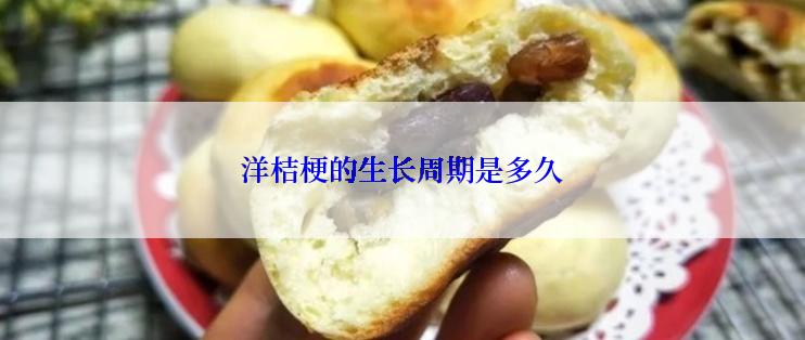 洋桔梗的生长周期是多久