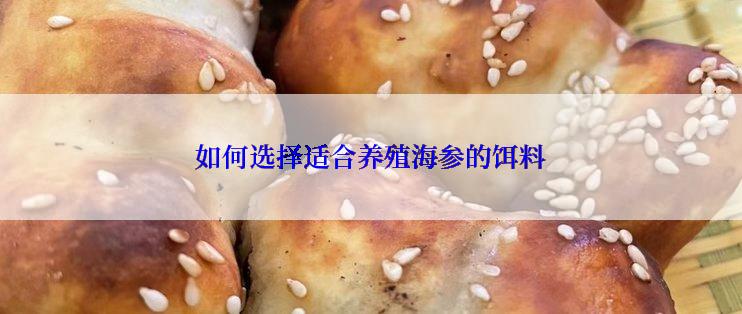 如何选择适合养殖海参的饵料