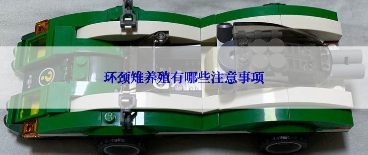 环颈雉养殖有哪些注意事项