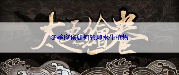 冬季应该如何管理水生植物