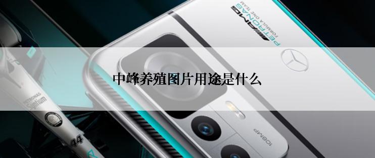 中峰养殖图片用途是什么
