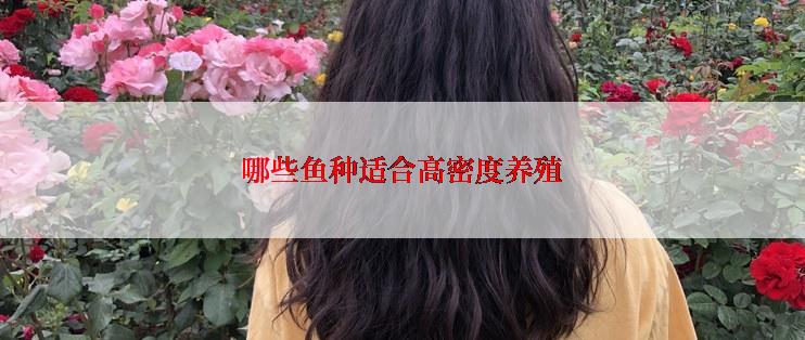 哪些鱼种适合高密度养殖