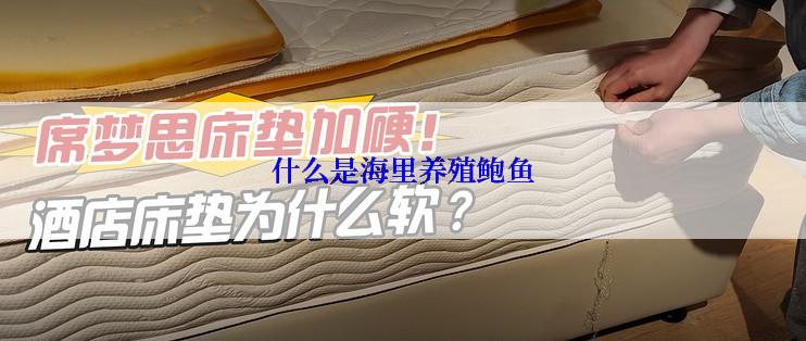 什么是海里养殖鲍鱼