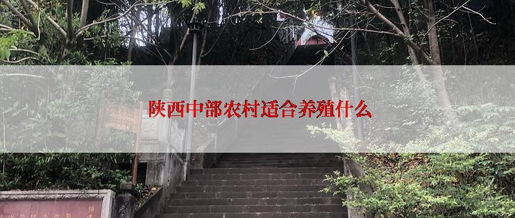 陕西中部农村适合养殖什么