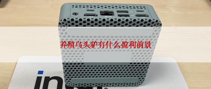 养殖乌头驴有什么盈利前景
