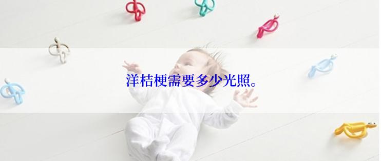 洋桔梗需要多少光照。