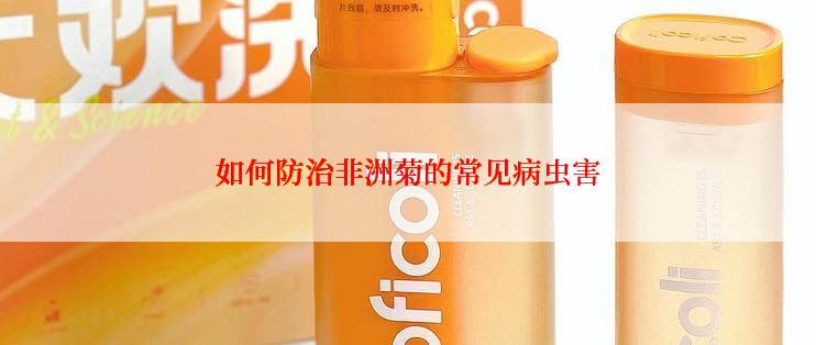 如何防治非洲菊的常见病虫害