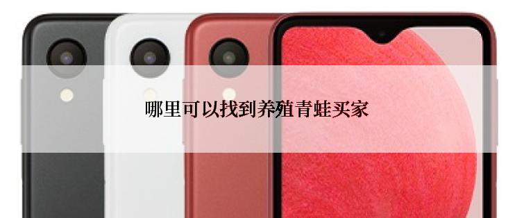 哪里可以找到养殖青蛙买家