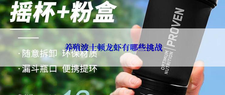  养殖波士顿龙虾有哪些挑战
