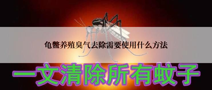 龟鳖养殖臭气去除需要使用什么方法