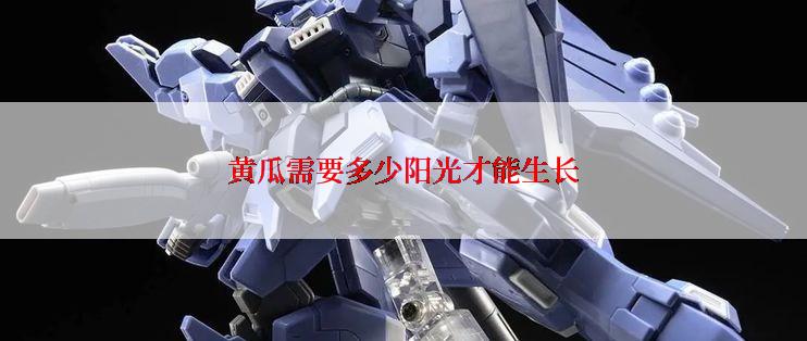 黄瓜需要多少阳光才能生长