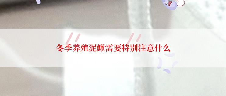 冬季养殖泥鳅需要特别注意什么