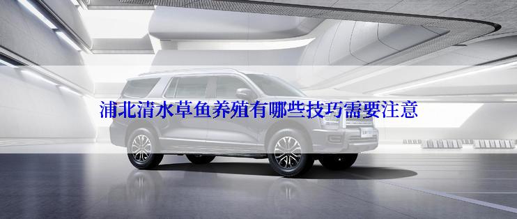 浦北清水草鱼养殖有哪些技巧需要注意