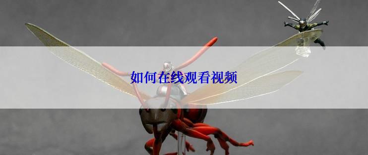 如何在线观看视频