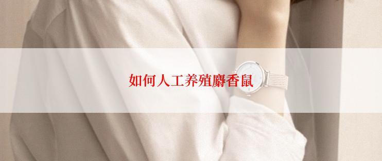 如何人工养殖麝香鼠