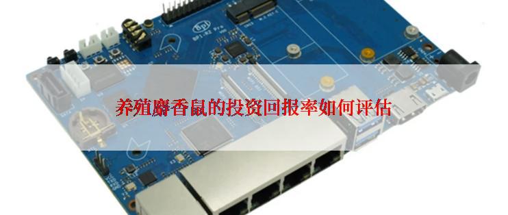 养殖麝香鼠的投资回报率如何评估
