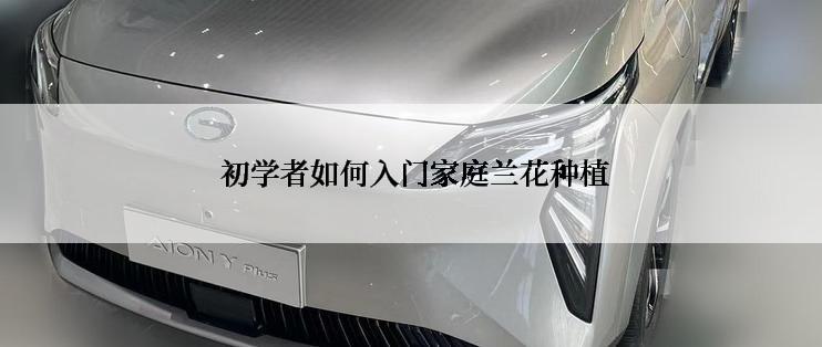  初学者如何入门家庭兰花种植