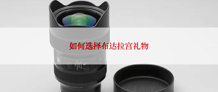 如何选择布达拉宫礼物