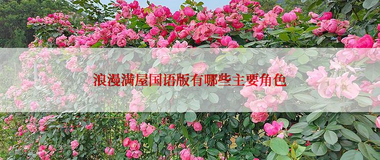浪漫满屋国语版有哪些主要角色