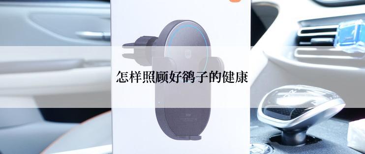 怎样照顾好鹆子的健康