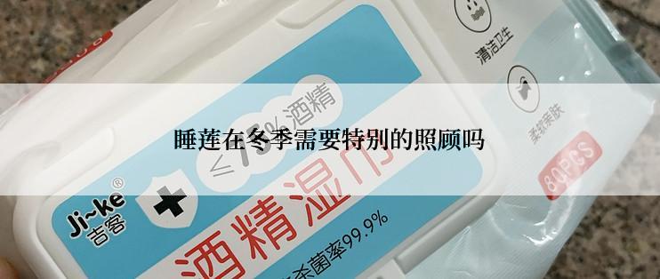 睡莲在冬季需要特别的照顾吗