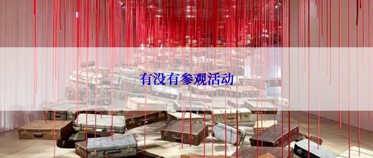 有没有参观活动