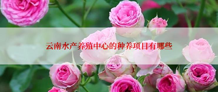 云南水产养殖中心的种养项目有哪些