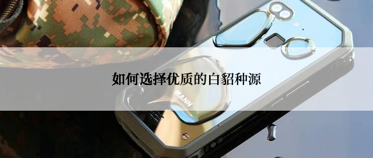 如何选择优质的白貂种源