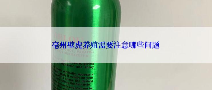 亳州壁虎养殖需要注意哪些问题