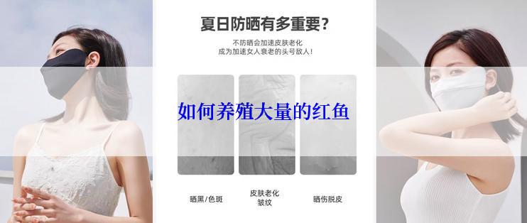 如何养殖大量的红鱼
